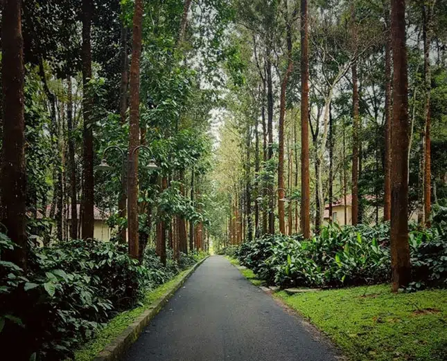 Nature Trails