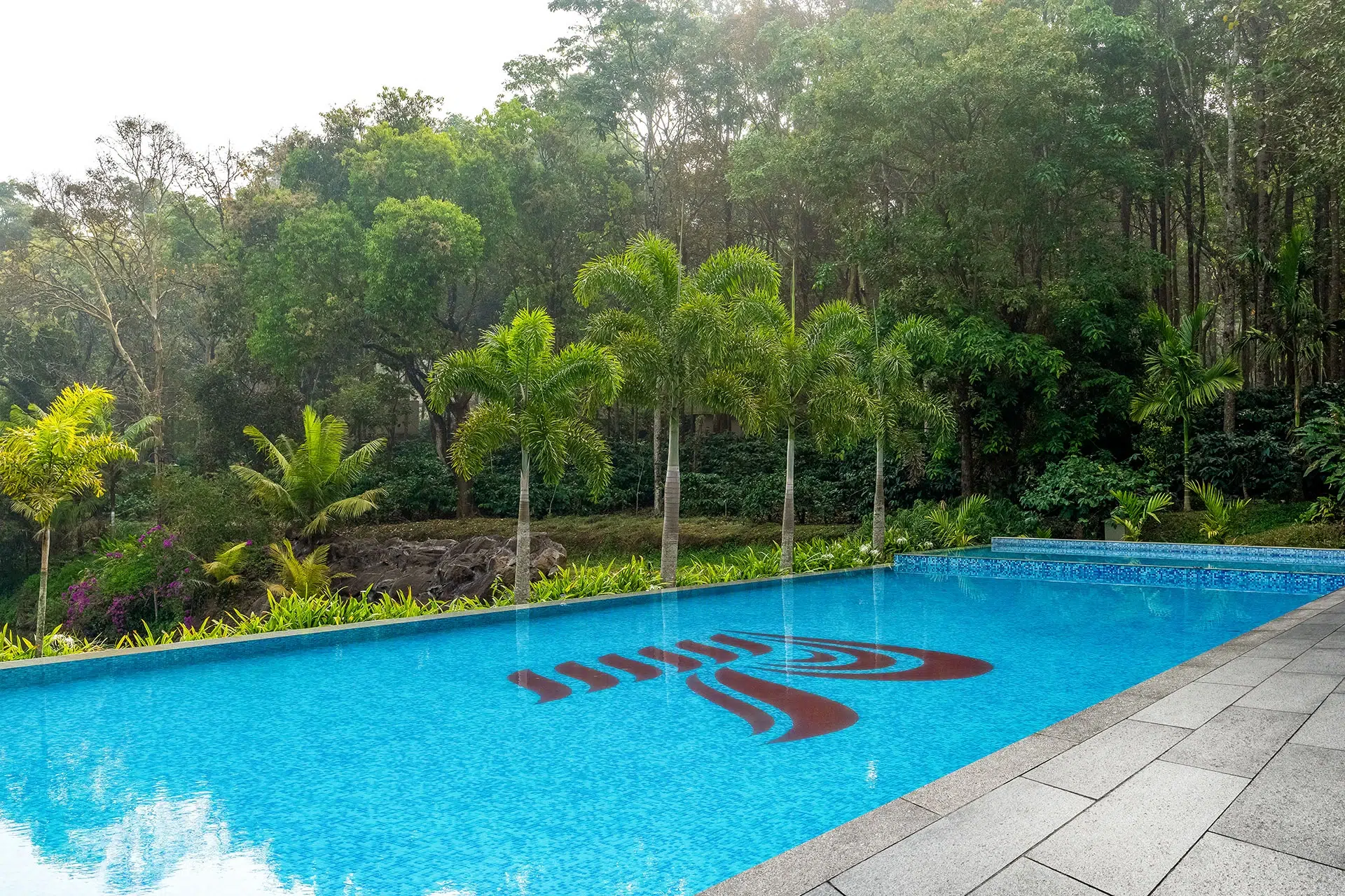 Infinity Pool